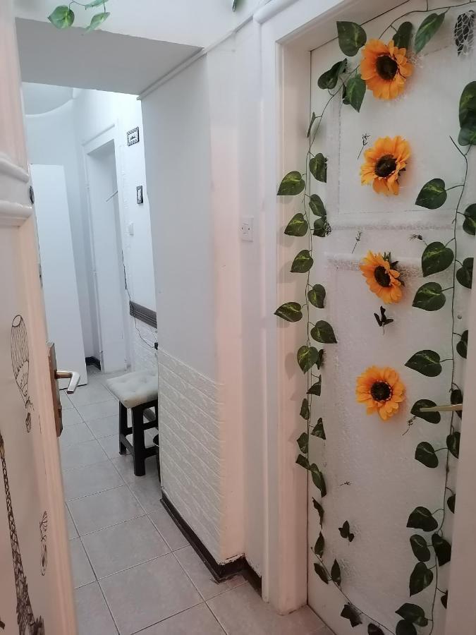 Low Cost Apartment Белград Екстериор снимка